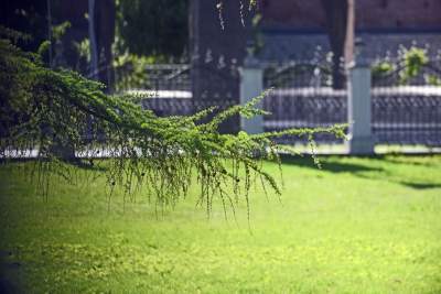 Teren zakonu stał się miejscem rekreacji - zdjęcie 18