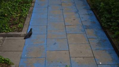 Kolorowe schody znów do remontu. Przyciągały tysiące turystów - zdjęcie 11