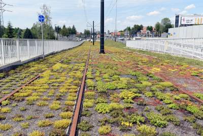 Tak wygląda prawie gotowa Trasa Łagiewnicka... - zdjęcie 4