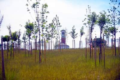 Tak wygląda prawie gotowa Trasa Łagiewnicka... - zdjęcie 19