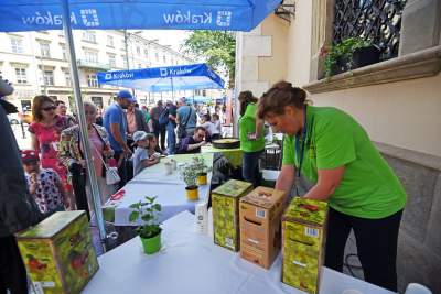 Piknik przed magistratem: smoki, zioła i scena przed urzędem - zdjęcie 14