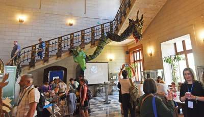 Piknik przed magistratem: smoki, zioła i scena przed urzędem - zdjęcie 20