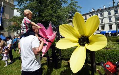 Piknik przed magistratem: smoki, zioła i scena przed urzędem - zdjęcie 1