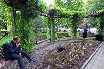 Skwer Kory Jackowskiej, zaglądajcie w to urocze miejsce - zdjęcie 28