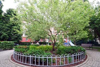 Skwer Kory Jackowskiej, zaglądajcie w to urocze miejsce - zdjęcie 29