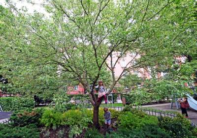 Skwer Kory Jackowskiej, zaglądajcie w to urocze miejsce - zdjęcie 30