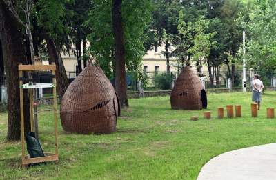 Ogród, który leczy. Działa na wszystkie zmysły - zdjęcie 23