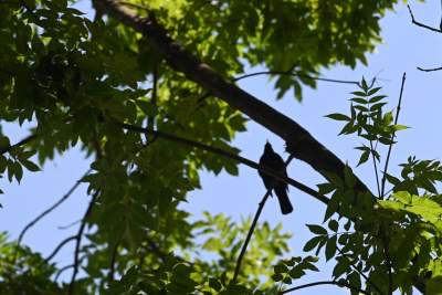 Dosłownie odlotowy park na Klinach, nawiązuje do historii... - zdjęcie 5
