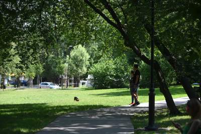 Dosłownie odlotowy park na Klinach, nawiązuje do historii... - zdjęcie 16