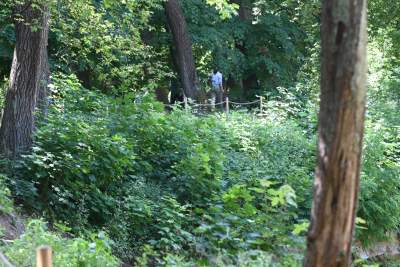 Dosłownie odlotowy park na Klinach, nawiązuje do historii... - zdjęcie 7