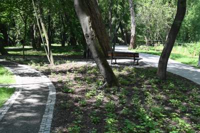 Dosłownie odlotowy park na Klinach, nawiązuje do historii... - zdjęcie 4