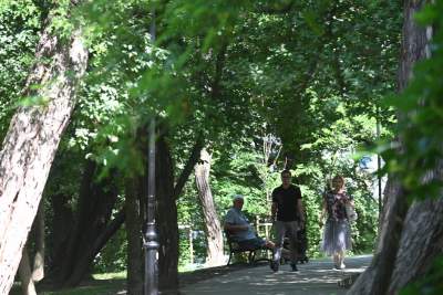 Dosłownie odlotowy park na Klinach, nawiązuje do historii... - zdjęcie 12