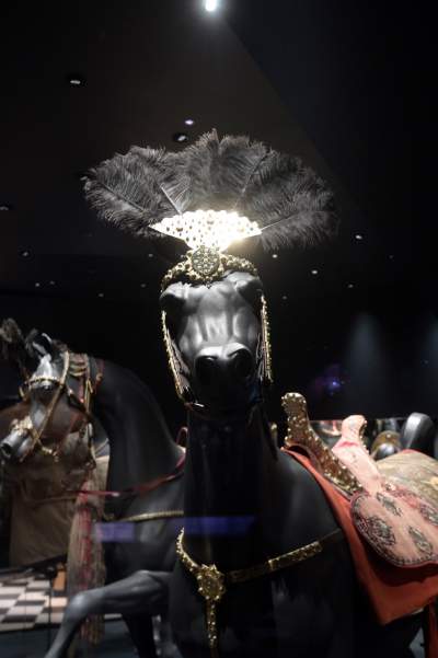 Nowy Skarbiec Koronny na Wawelu, spektakularny mapping na dziedzińcu - zdjęcie 20