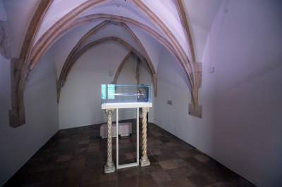 Nowy Skarbiec Koronny na Wawelu, spektakularny mapping na dziedzińcu - zdjęcie 32