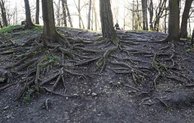 Tak wyglądał Park Bednarskiego przed remontem, fot. Marek Lasyk - zdjęcie 13