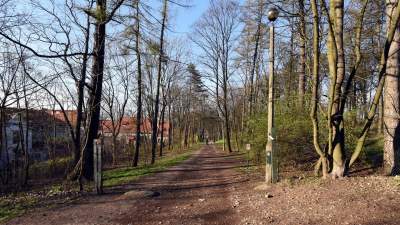 Tak wyglądał Park Bednarskiego przed remontem, fot. Marek Lasyk - zdjęcie 4