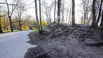 Tak wyglądał Park Bednarskiego przed remontem, fot. Marek Lasyk - zdjęcie 14