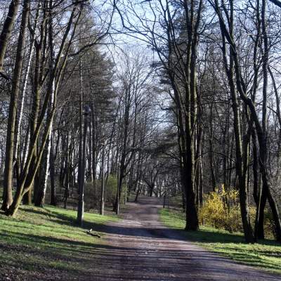 Tak wyglądał Park Bednarskiego przed remontem, fot. Marek Lasyk - zdjęcie 8
