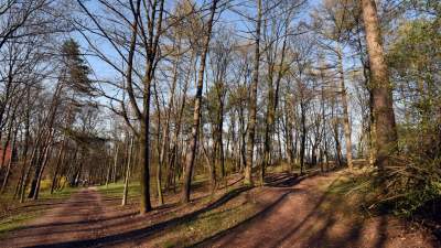 Tak wyglądał Park Bednarskiego przed remontem, fot. Marek Lasyk - zdjęcie 5