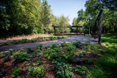 Ogród Fabryczny, piękna zielona zmiana - zdjęcie 14