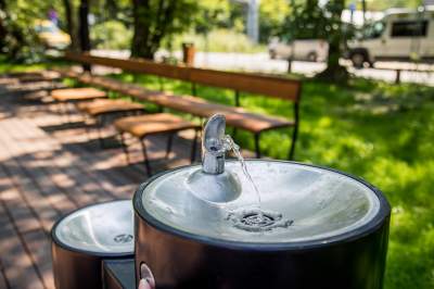 Ogród Fabryczny, piękna zielona zmiana - zdjęcie 5