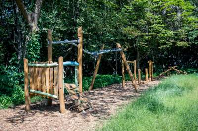 Ogród Fabryczny, piękna zielona zmiana - zdjęcie 4