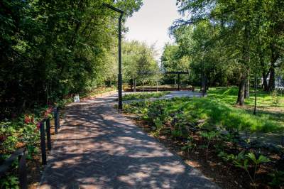 Ogród Fabryczny, piękna zielona zmiana - zdjęcie 1