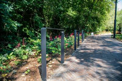 Ogród Fabryczny, piękna zielona zmiana - zdjęcie 2