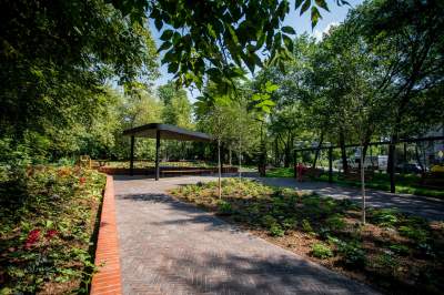 Ogród Fabryczny, piękna zielona zmiana - zdjęcie 12