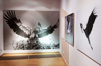 Wystawa w MCK: „Domowroty. Włodzimierz Puchalski” - zdjęcie 8