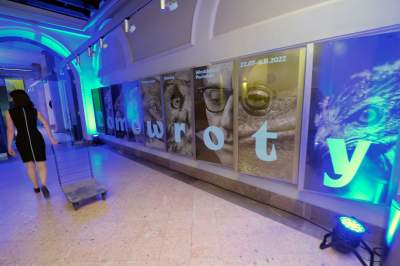 Wystawa w MCK: „Domowroty. Włodzimierz Puchalski” - zdjęcie 1