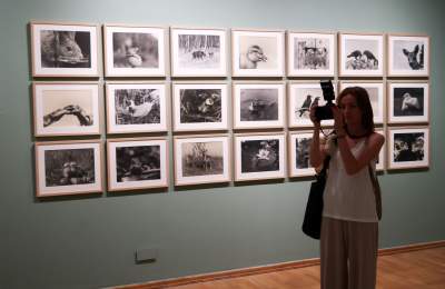 Wystawa w MCK: „Domowroty. Włodzimierz Puchalski” - zdjęcie 9