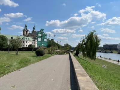 Bulwary Wiślane po nawałnicy: zniszczone charakterystyczne drzewa - zdjęcie 3