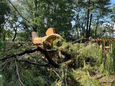 Bulwary Wiślane po nawałnicy: zniszczone charakterystyczne drzewa - zdjęcie 7