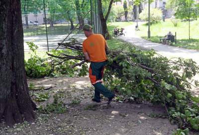 Wielkie sprzątanie po sobotniej nawałnicy, fot. Marek Lasyk - zdjęcie 20