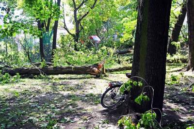 Wielkie sprzątanie po sobotniej nawałnicy, fot. Marek Lasyk - zdjęcie 1