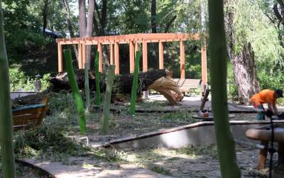 Wielkie sprzątanie po sobotniej nawałnicy, fot. Marek Lasyk - zdjęcie 8