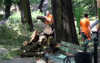 Wielkie sprzątanie po sobotniej nawałnicy, fot. Marek Lasyk - zdjęcie 9