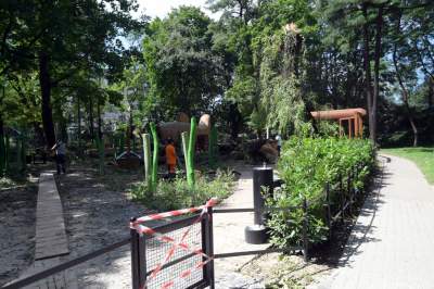 Wielkie sprzątanie po sobotniej nawałnicy, fot. Marek Lasyk - zdjęcie 11