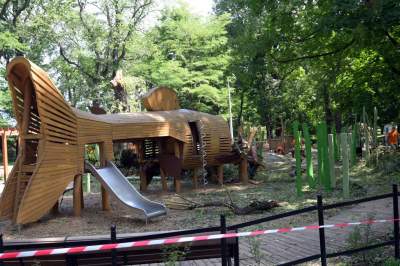 Wielkie sprzątanie po sobotniej nawałnicy, fot. Marek Lasyk - zdjęcie 3