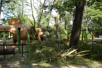 Wielkie sprzątanie po sobotniej nawałnicy, fot. Marek Lasyk - zdjęcie 17
