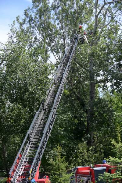 Wielkie sprzątanie po sobotniej nawałnicy, fot. Marek Lasyk - zdjęcie 24