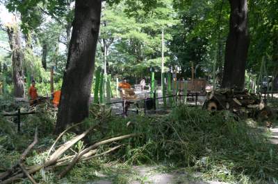 Wielkie sprzątanie po sobotniej nawałnicy, fot. Marek Lasyk - zdjęcie 19