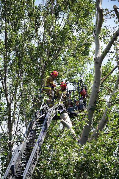 Wielkie sprzątanie po sobotniej nawałnicy, fot. Marek Lasyk - zdjęcie 26