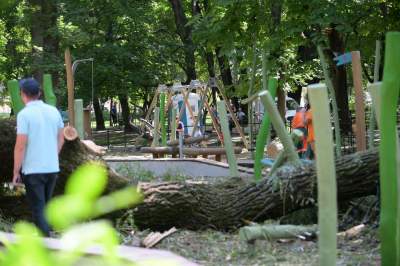 Wielkie sprzątanie po sobotniej nawałnicy, fot. Marek Lasyk - zdjęcie 15
