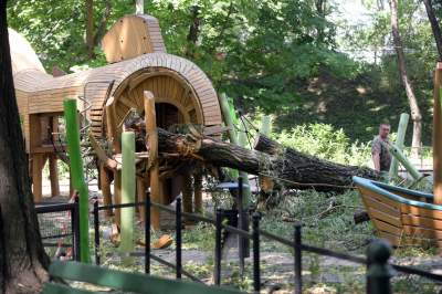 Wielkie sprzątanie po sobotniej nawałnicy, fot. Marek Lasyk - zdjęcie 7