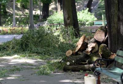Wielkie sprzątanie po sobotniej nawałnicy, fot. Marek Lasyk - zdjęcie 6
