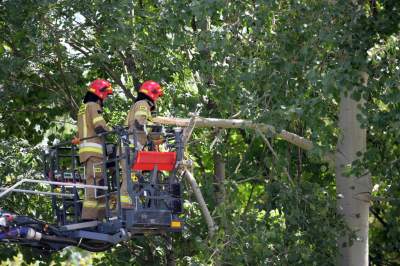 Wielkie sprzątanie po sobotniej nawałnicy, fot. Marek Lasyk - zdjęcie 28