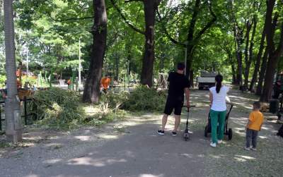 Wielkie sprzątanie po sobotniej nawałnicy, fot. Marek Lasyk - zdjęcie 4