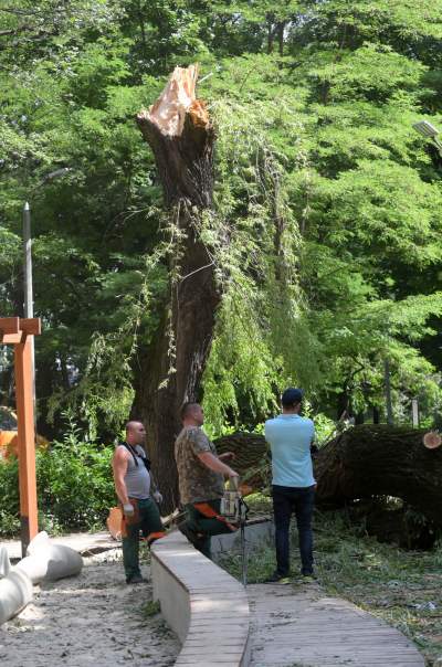 Wielkie sprzątanie po sobotniej nawałnicy, fot. Marek Lasyk - zdjęcie 16